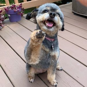 Meet your Posher, Sarah